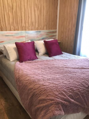 Apart Hotel Don Domingo Coñaripe
